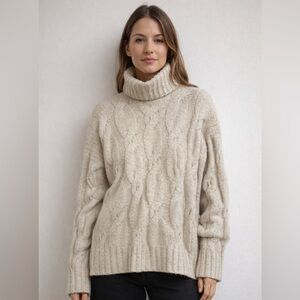 Frank And Oak The Comfort Turtleneck Relaxed Sweater in oatmeal small